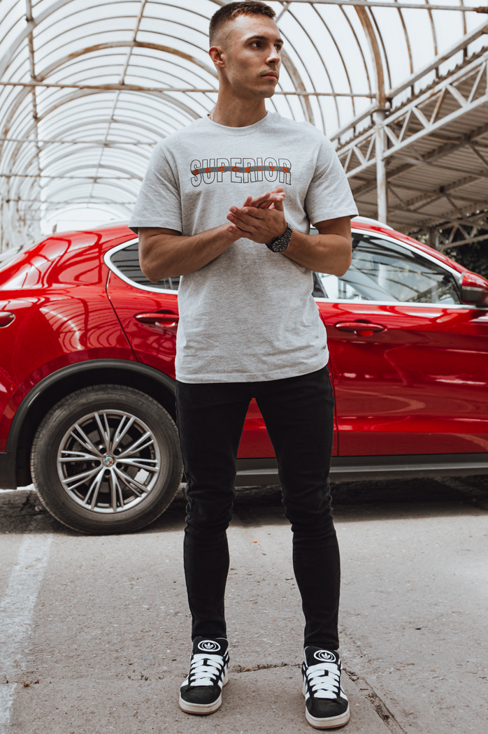 Koszulka męska z nadrukiem szara Dstreet RX5385