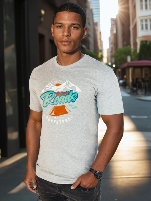 Koszulka męska z nadrukiem szara Dstreet RX5401